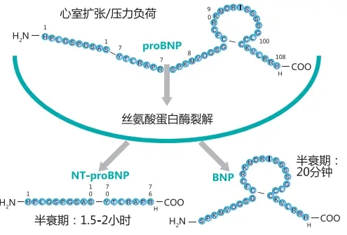 微信圖片_20240816090931.jpg